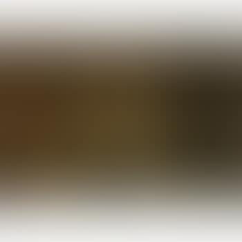 The Portico (preview)