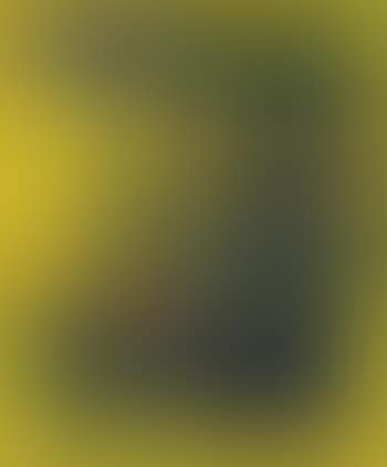 Feuillaison (preview)