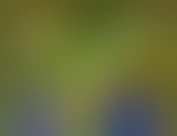 Stillleben Mit Tulpen (preview)