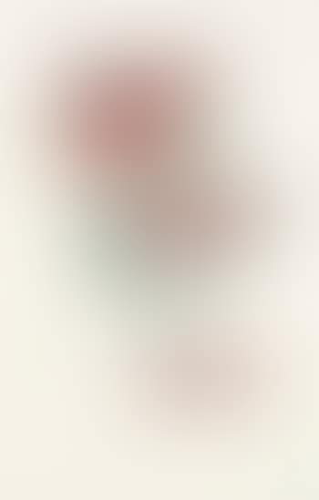 Rosa et morte floriscent (preview)