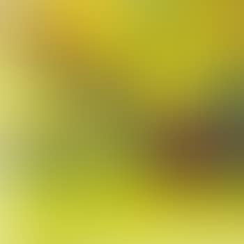 Primrose Hill, Summer (preview)