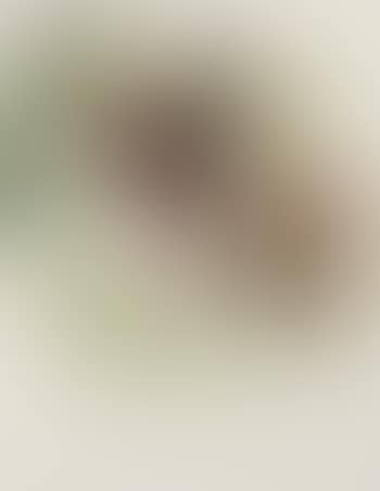 Portrait d'une jeune Marrakchi (preview)