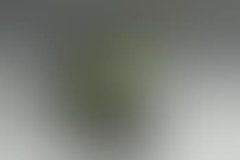 Form (preview)