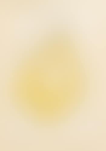 Oiseau Surprise (preview)