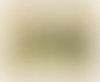 Quorn sketch (preview)