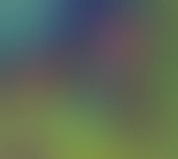 Stilleben mit Obstschale (preview)
