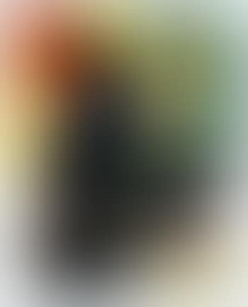 Composizione (preview)