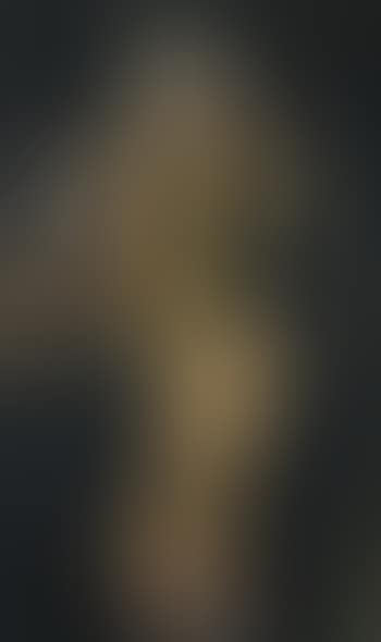 Portrait of Mrs Wall (preview)