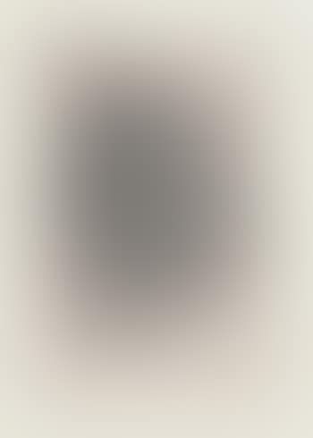 Paniconographie (preview)
