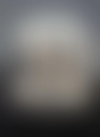 Rembrandt 1 (preview)