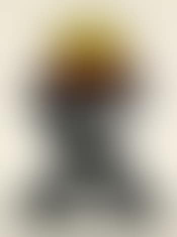 Toulouse lautrec (preview)