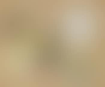 Composition (preview)