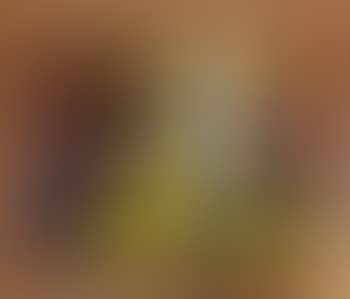 The Yellow Robe of Texas (preview)