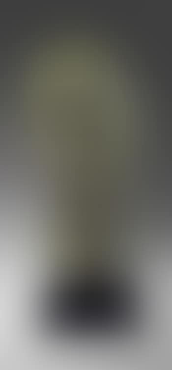 Second Portrait Of George Bernard Shaw (Head) (preview)