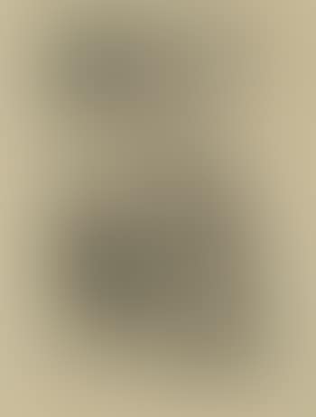 Miren Que Grabes! (preview)