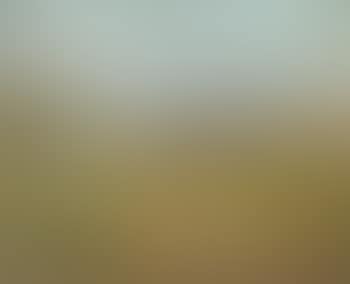 Landscape with Red Barn (preview)