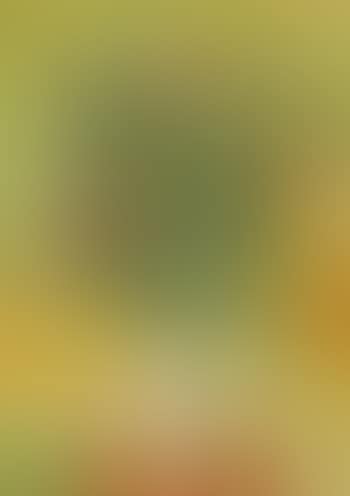 Untitled (Floral still life) (preview)
