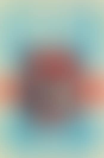 Vote! (preview)