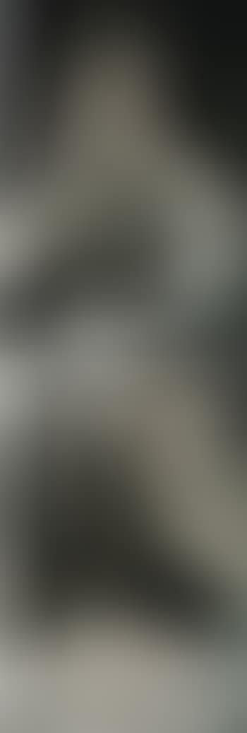 Grey Moses (preview)