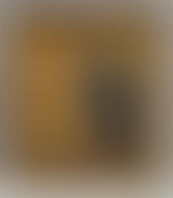 Study of a pigeon (preview)