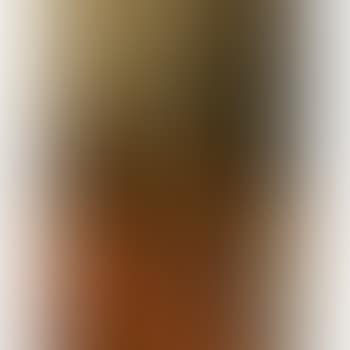 Still Life With Cloisonne Vase, Clock And Pokal; Still Life With Satsuma And Cloisonne Vases (preview)