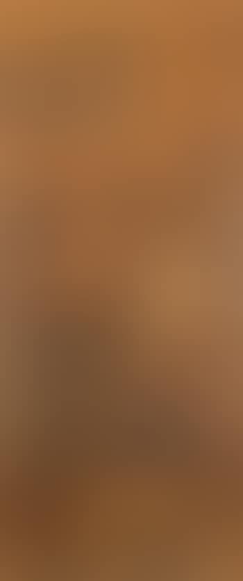 Paysage (preview)