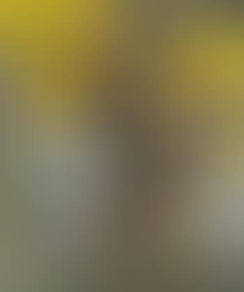 Ohne Titel (Untitled) (preview)