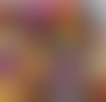 I Verbi Riflessivi (preview)