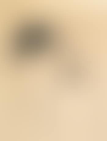 Study For "C.B." (preview)