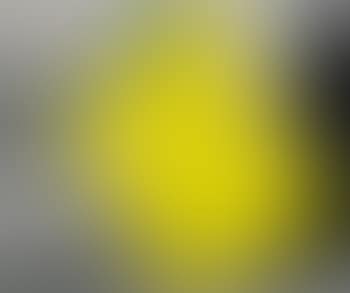 Blockage (Yellow): With Person (Black) And Hippopotami (Blue And Red) (preview)
