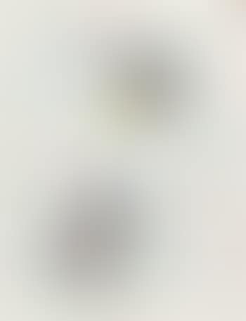 Les Essencies de la Tierra 14 (preview)