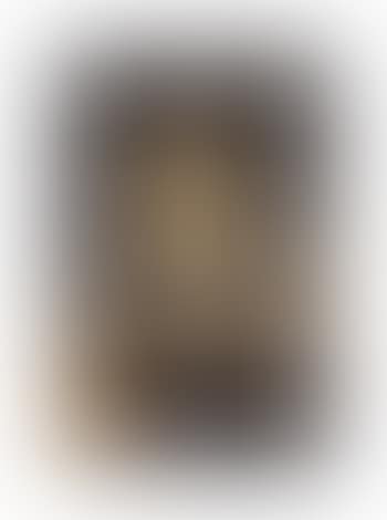 Retrato De Francois Clouet (preview)