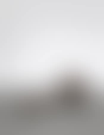 Seated Bowl (preview)
