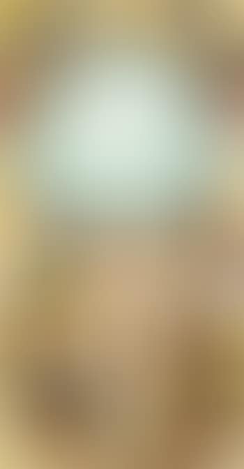 Secret Message 3 (preview)