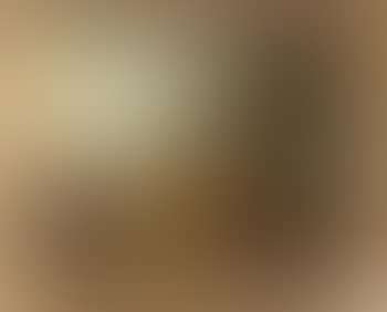 Paesaggio con armenti (preview)