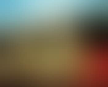 Nature morte en Provence (preview)