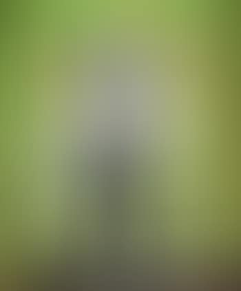 Jonquilles dans un verre (preview)