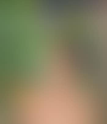 Sommer (preview)