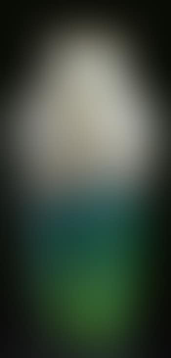 Decorated Vase (preview)