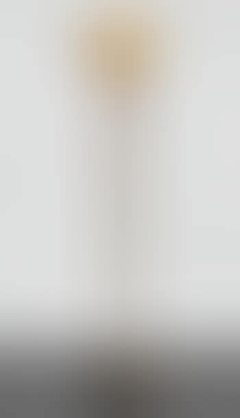 La Tentation Floor Lamp by Edgar Brandt (preview)