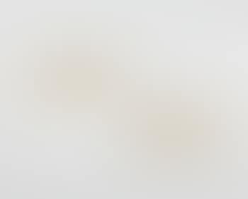 Wall Sconces, Model No. 1598 (preview)