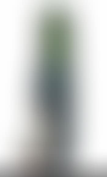 Totem (preview)