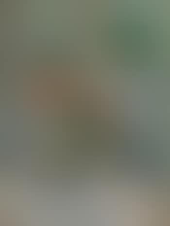 Blumenstillleben (preview)