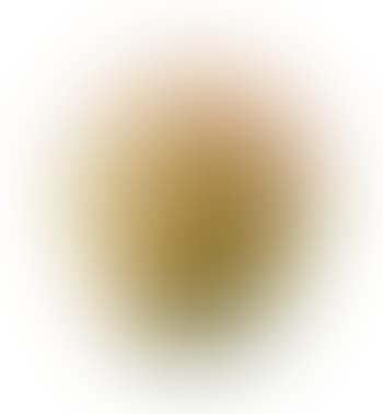 Vase (preview)