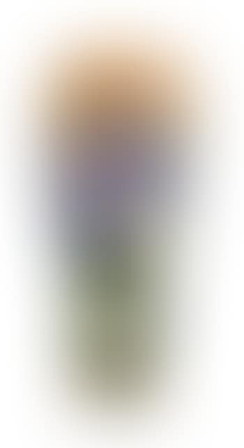 Vase (preview)