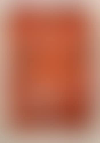 [Untitled] (preview)