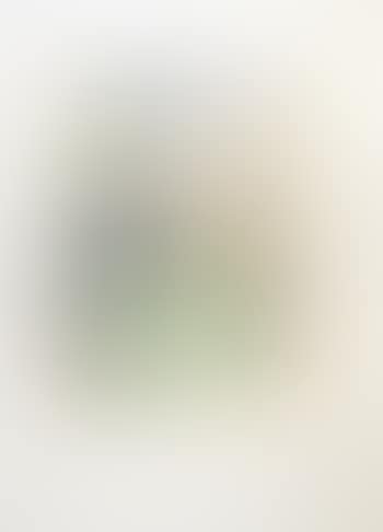 [Untitled] (preview)