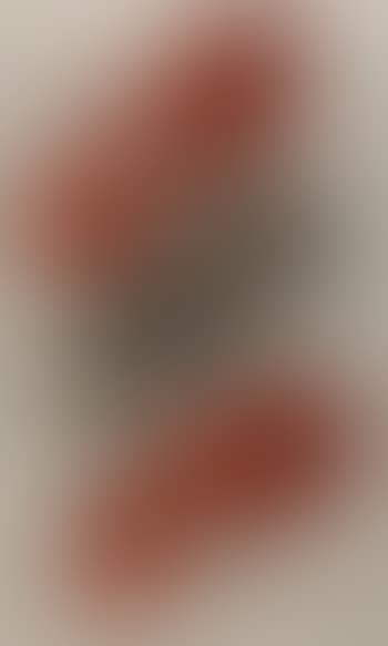 Chaussures (preview)