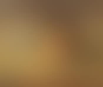 Still life (preview)