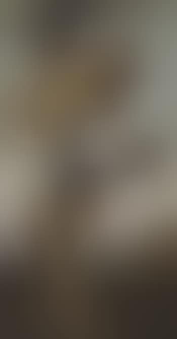The Martyrdom of Saint Sebastian (preview)